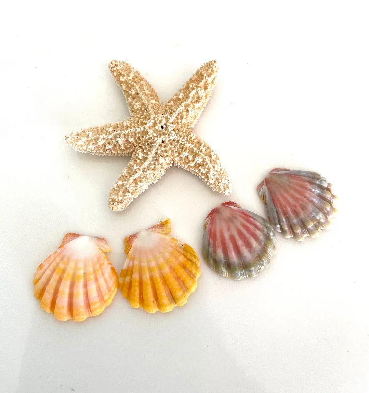 Best hoop earrings with enamel details for a colorful and modern look-Custom order Sunrise Shell Earrings